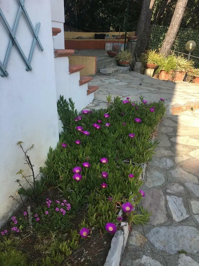 Sofianna Apartment Castiglioncello